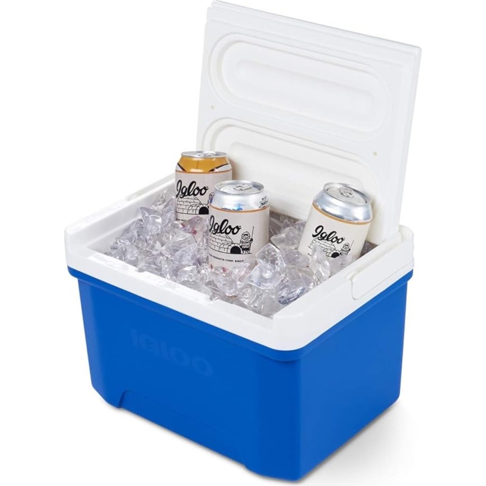 Igloo - Cooler With Handle