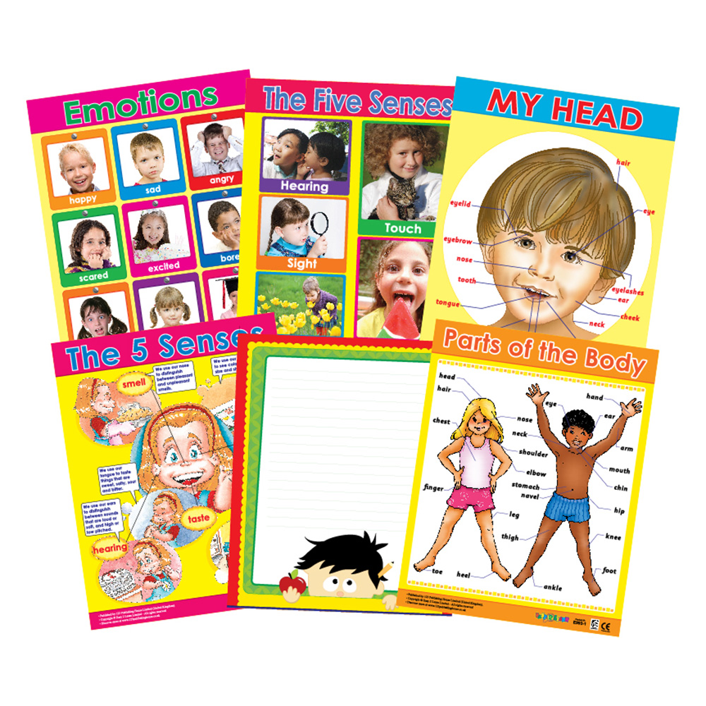 Me And My Body Educational Wall Charts In English - Pack of 6