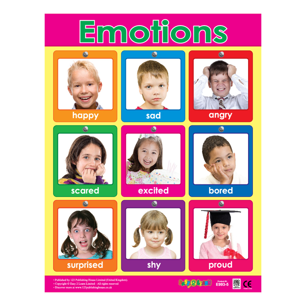 Me And My Body Educational Wall Charts In English - Pack of 6
