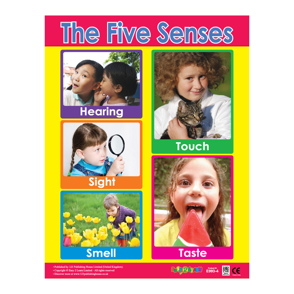 Me And My Body Educational Wall Charts In English - Pack of 6