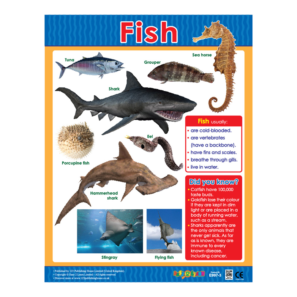 Animal Classification Educational Wall Charts In English - Pack of 6