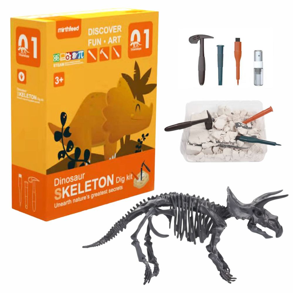 Chanak - Dinosaur Skeleton Dig Kit - 6 Pcs