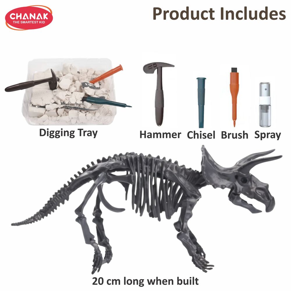Chanak - Dinosaur Skeleton Dig Kit - 6 Pcs