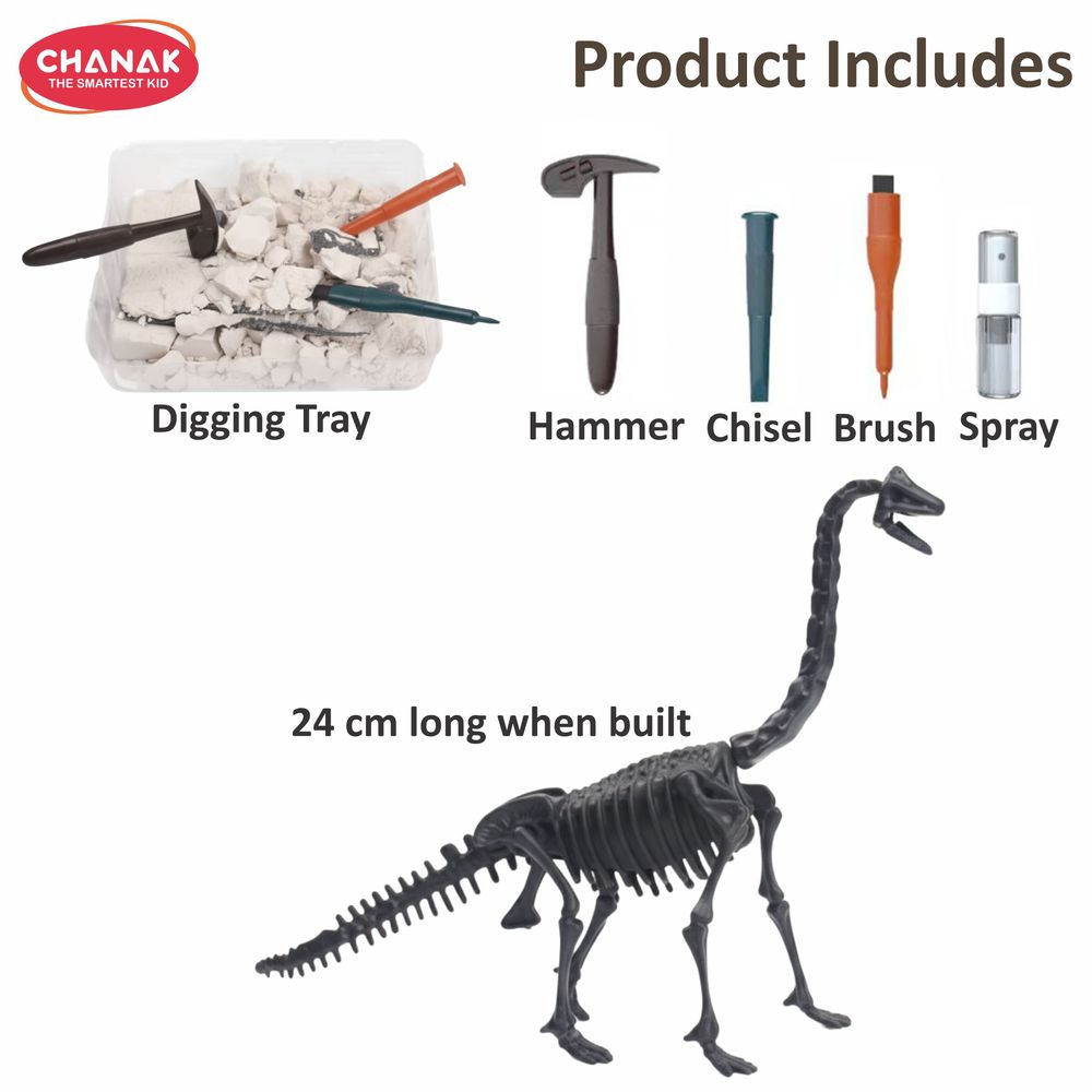 Chanak - Dinosaur Skeleton Dig Kit Brachiosaurus Edition - 6 Pcs