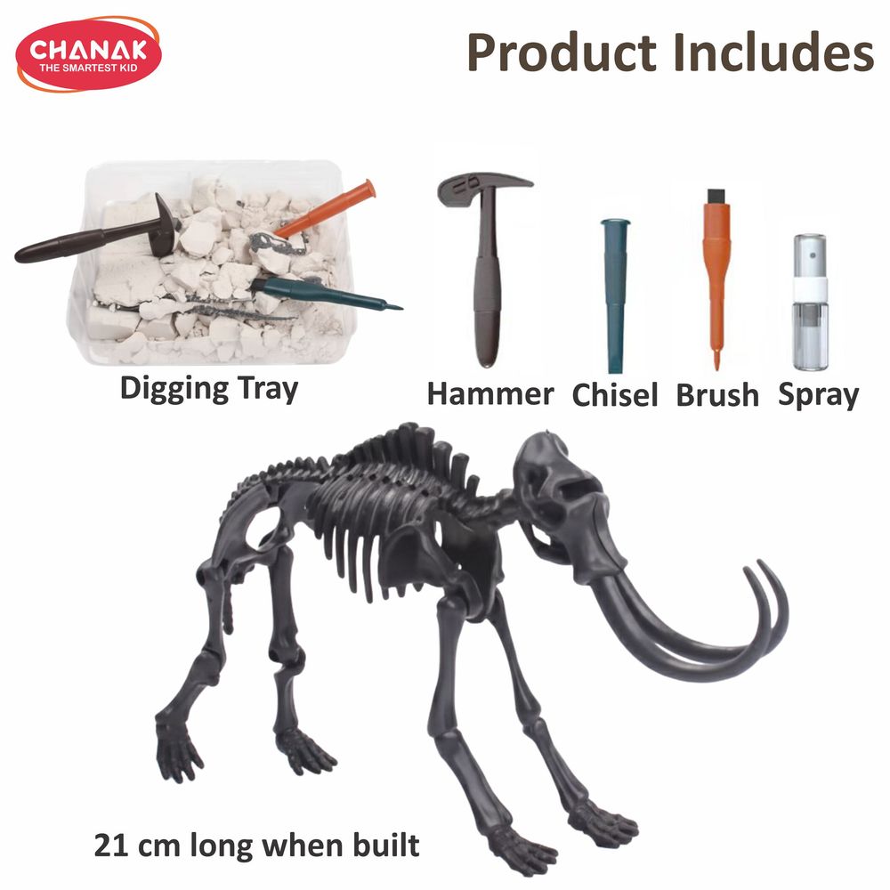 Chanak - Dinosaur Skeleton Dig Kit Mammoth Edition - 6 Pcs