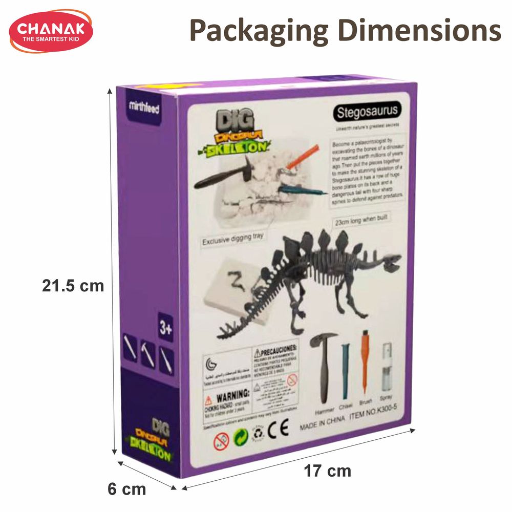 Chanak - Dinosaur Skeleton Dig Kit Stegosaurus Edition - 6 Pcs
