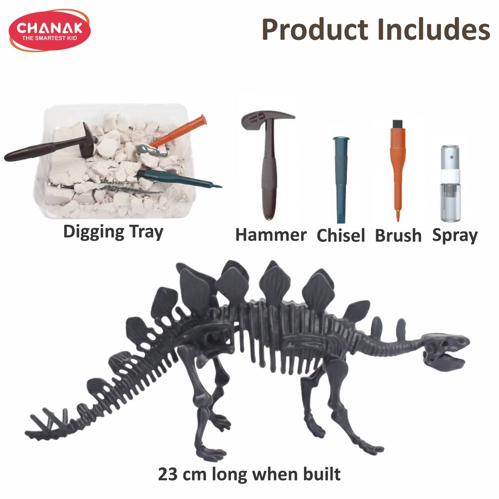 Chanak - Dinosaur Skeleton Dig Kit Stegosaurus Edition - 6 Pcs