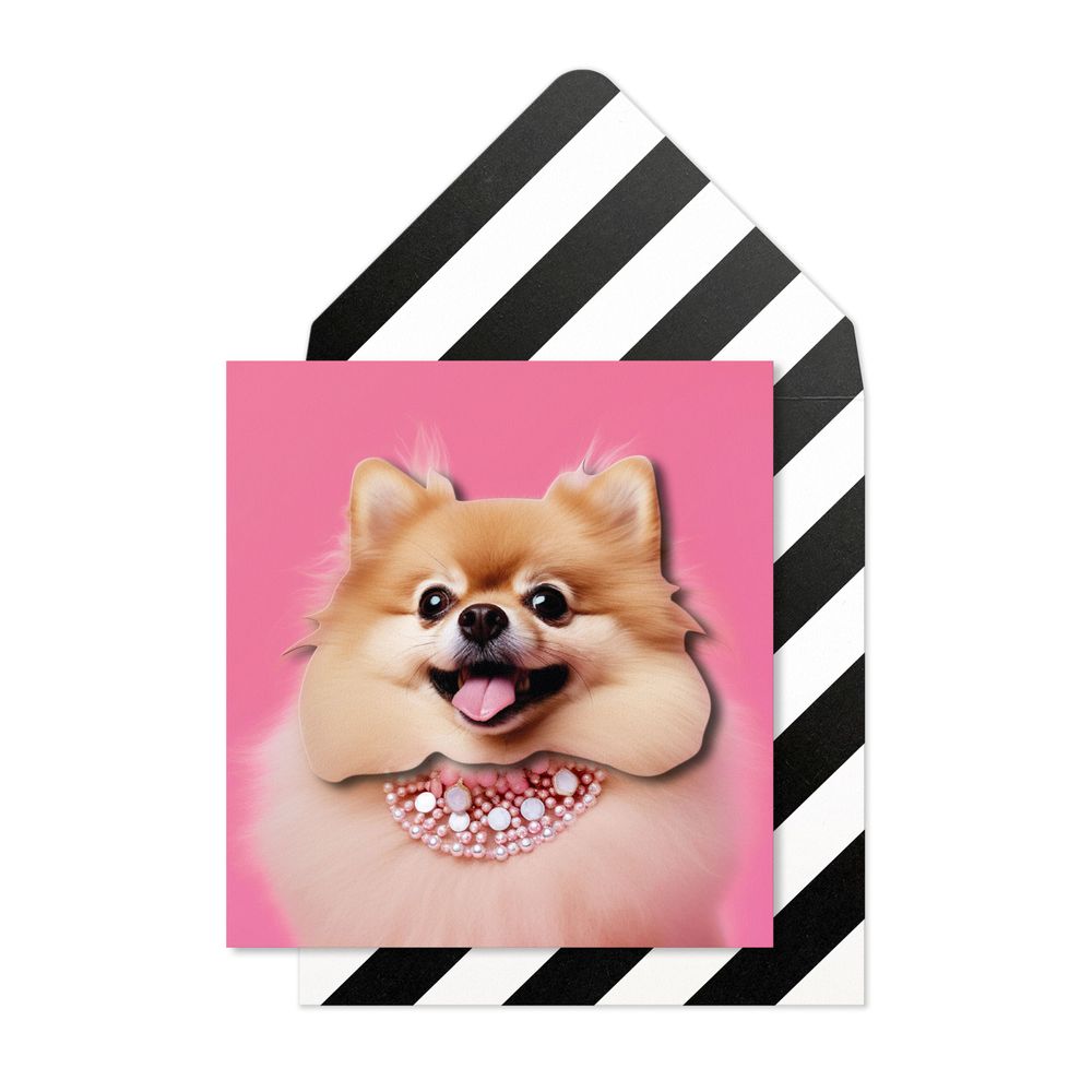 Tache - Pomeranian Blank Birthday Greeting Card