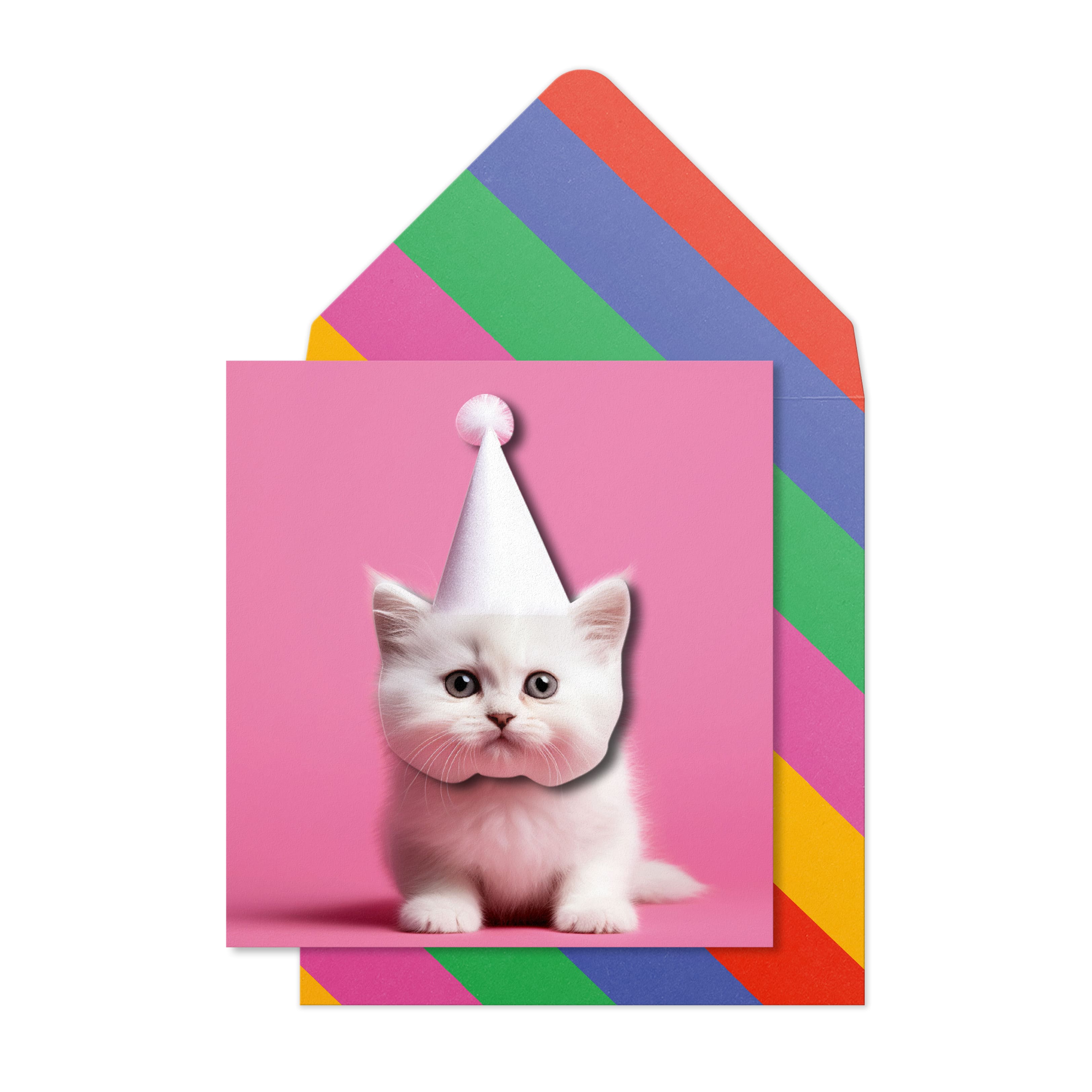 Tache - White Kitten Blank Birthday Greeting Card