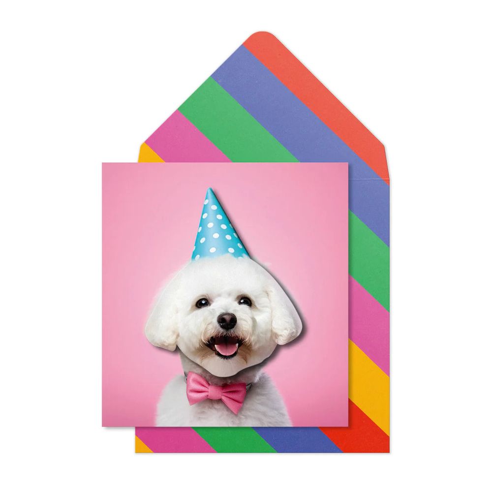 Tache - Bichon Frise Party Hat Blank Birthday Card