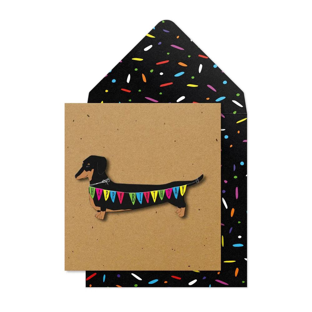 Tache - Dachshund Blank Happy Birthday Card