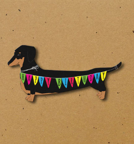 Tache - Dachshund Blank Happy Birthday Card