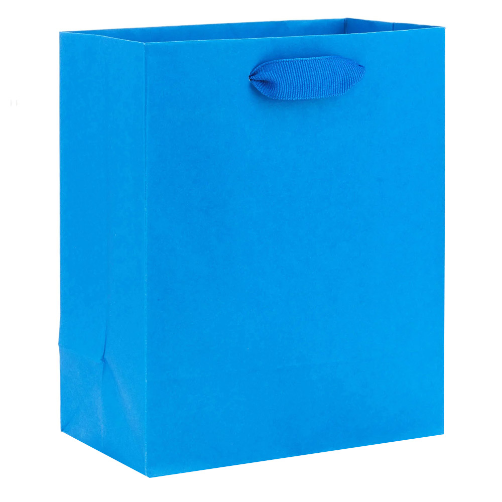 Hallmark - Gift Bag