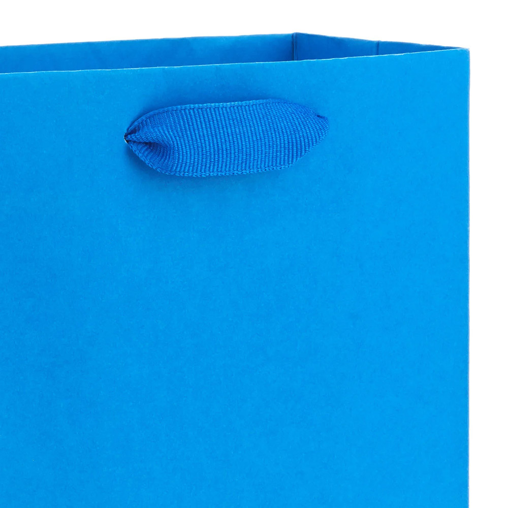 Hallmark - Gift Bag