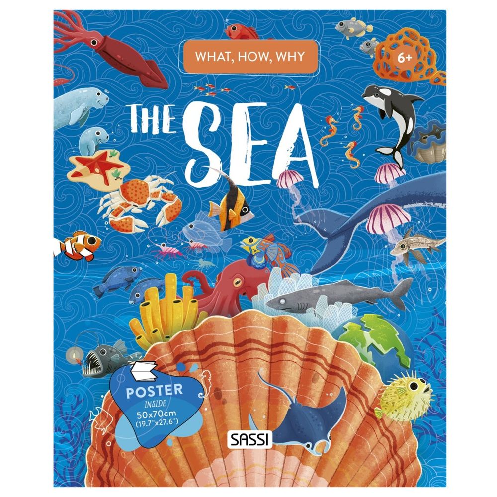 What, How, Why The Sea
