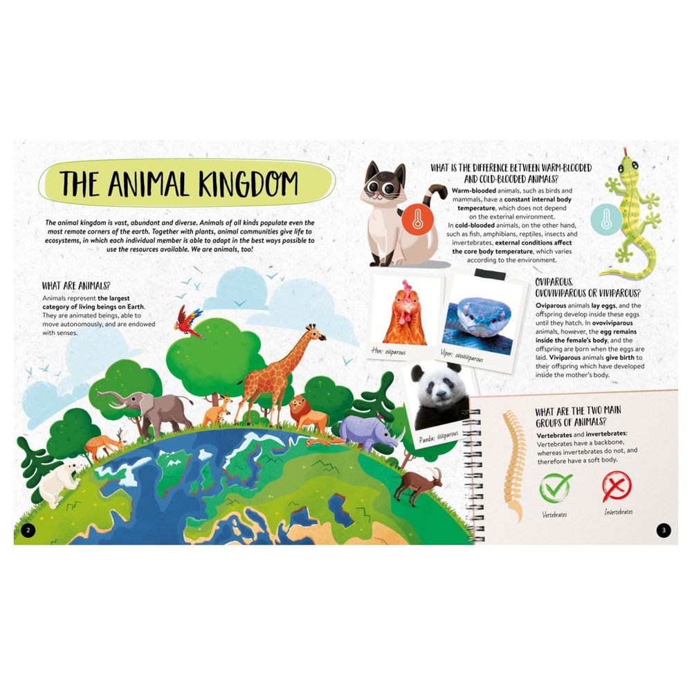 What, How, Why Animals