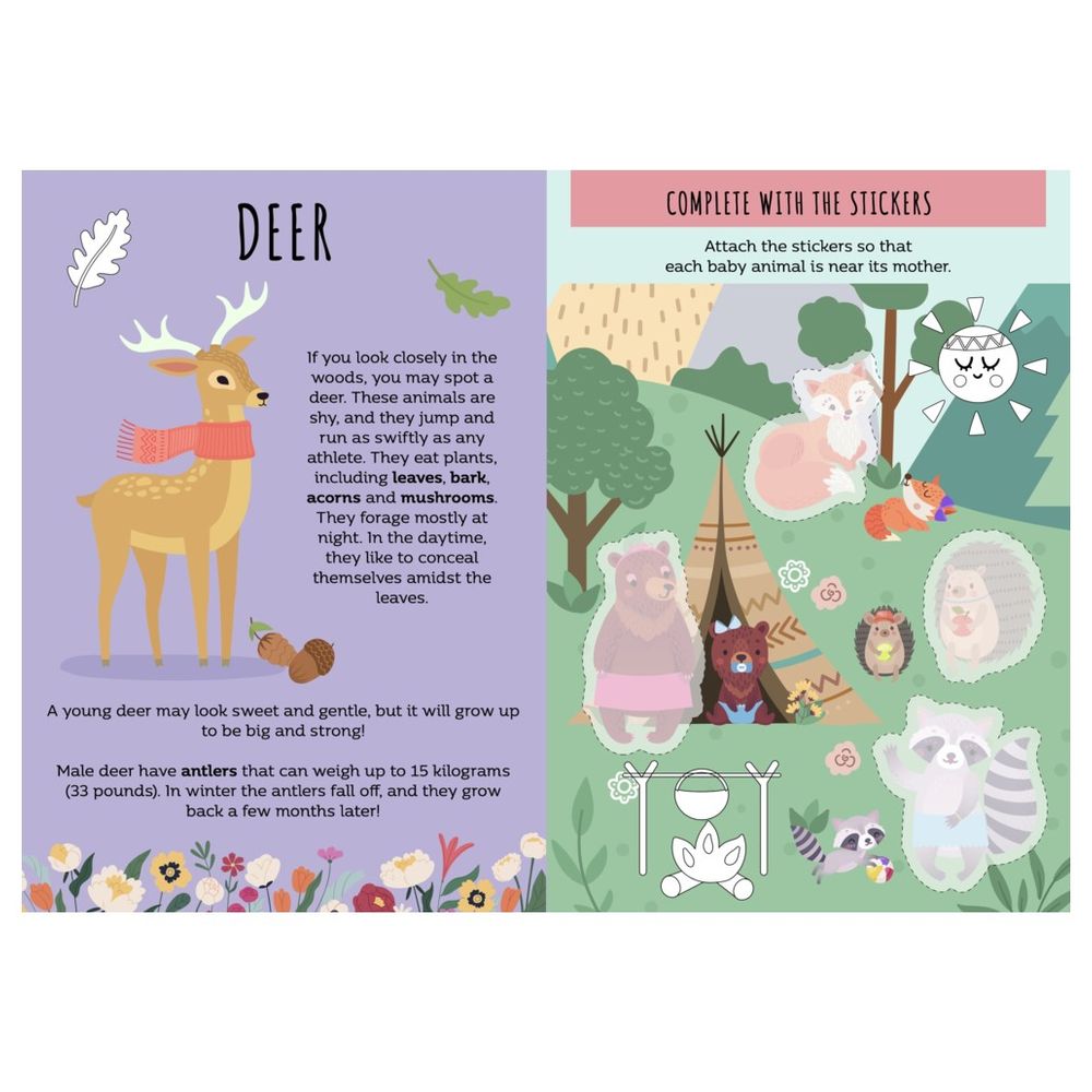 Stickers And Activities Book - The Forest