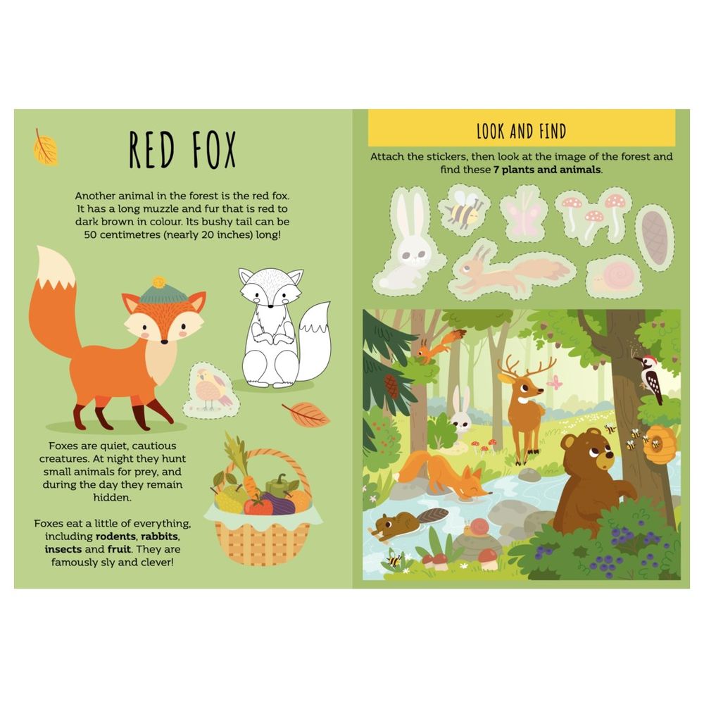 Stickers And Activities Book - The Forest