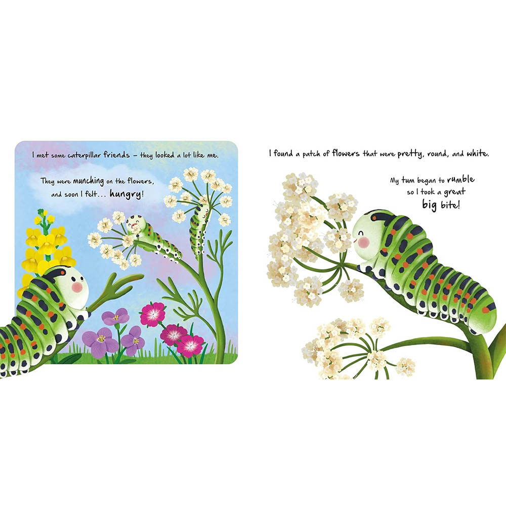 Little Caterpillar