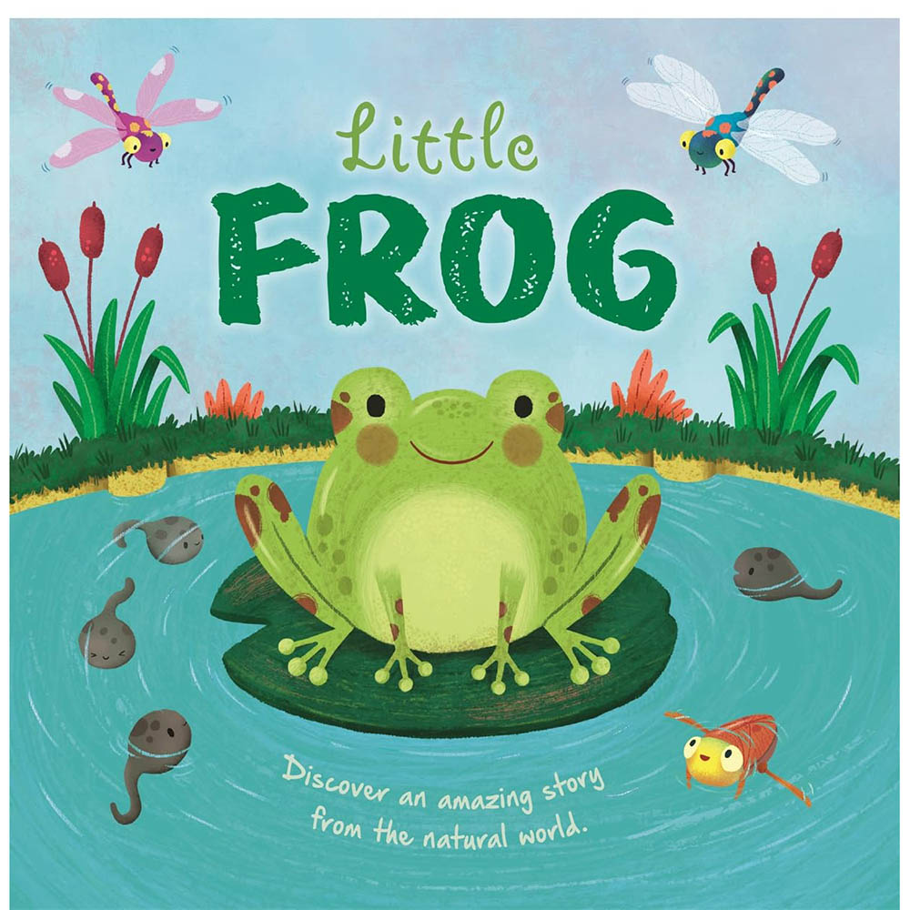 Little Frog