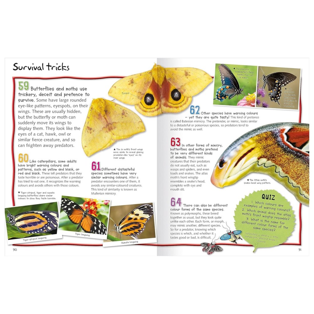 100 Facts Butterflies And Moths