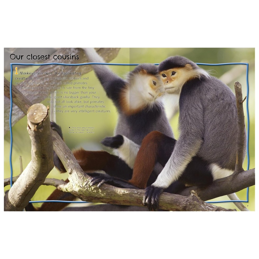 100 Facts Monkeys And Apes
