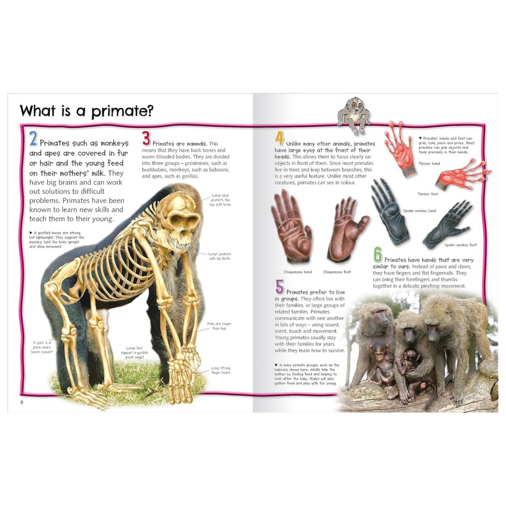 100 Facts Monkeys And Apes