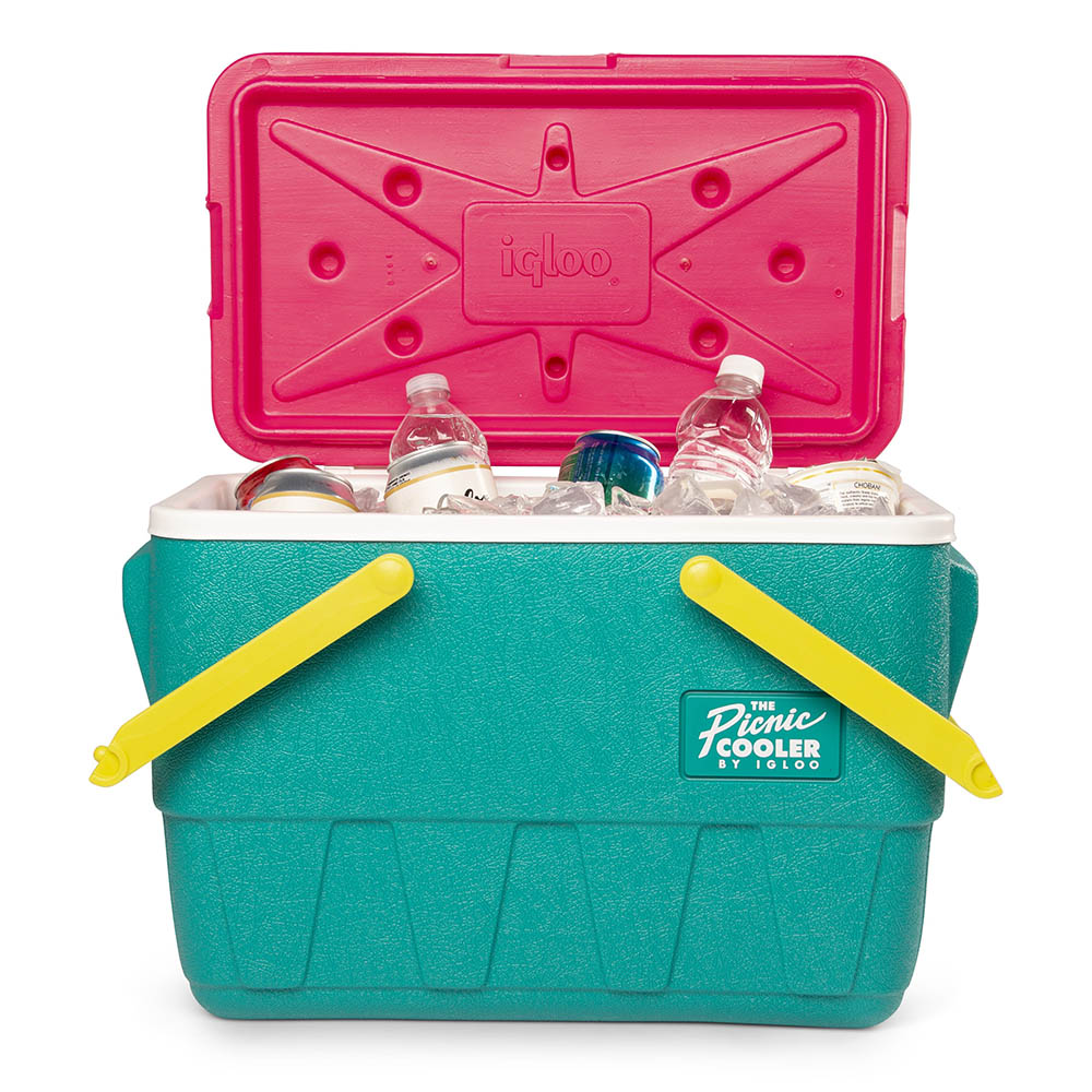 Igloo - Retro Lunch Picnic Basket Cooler - Jade - 23 L