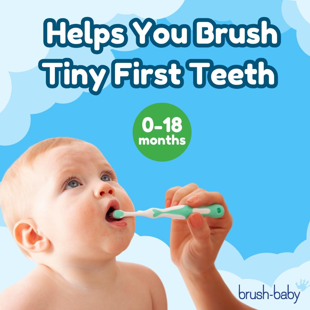 Brush Baby - 2025 Collection My FirstBrush 0-18m Assorted - Pack of 2