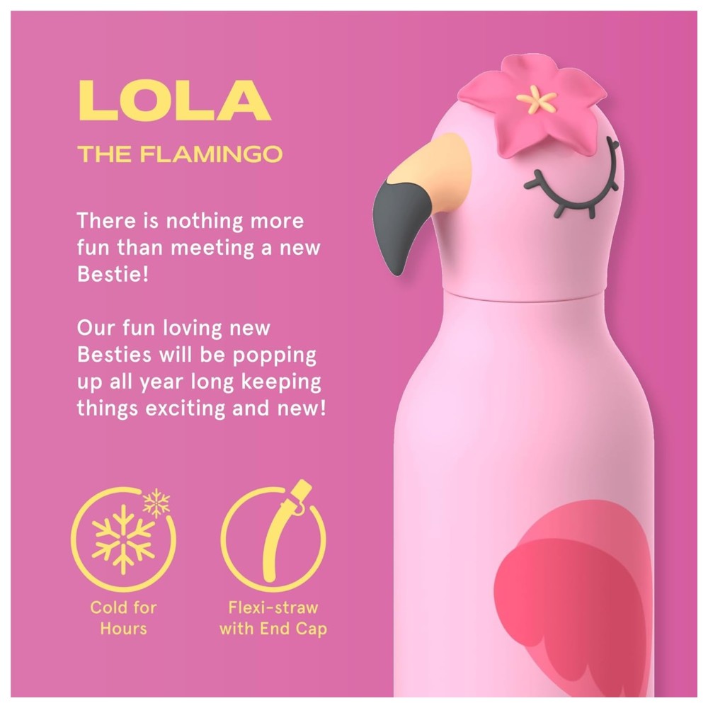 Asobu - Bestie Insulated Water Bottle - Flamingo - 460 ml