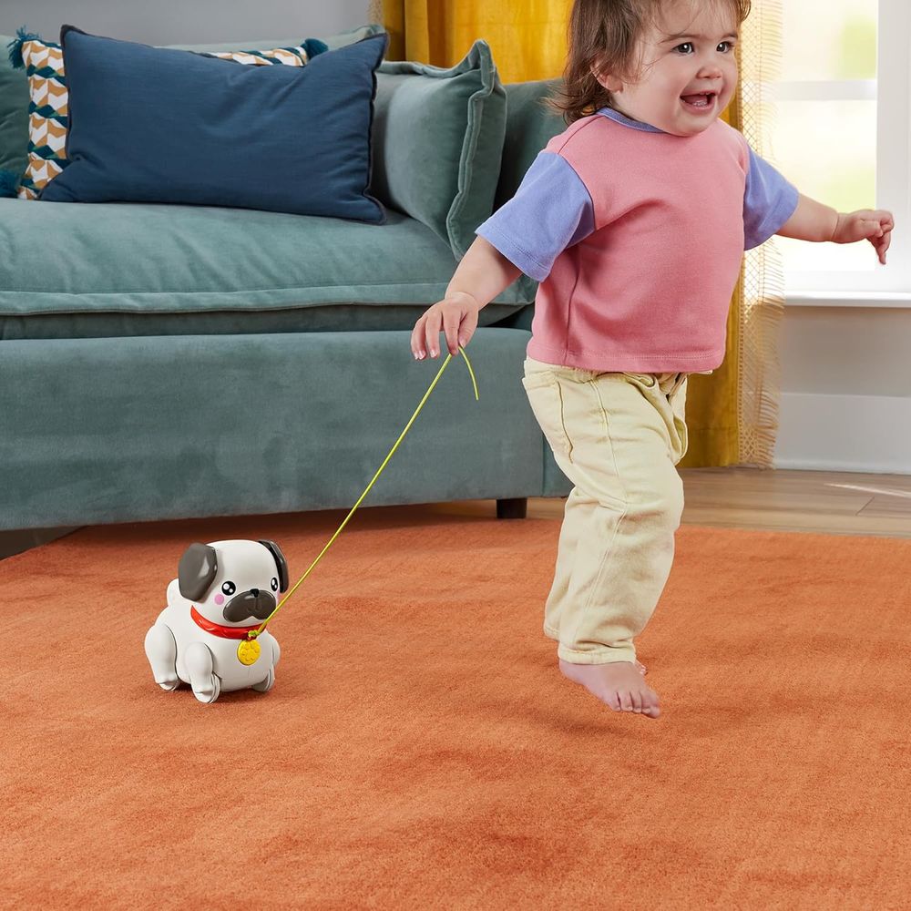 Fisher-Price Walking With Puppy Pull-Along Toy