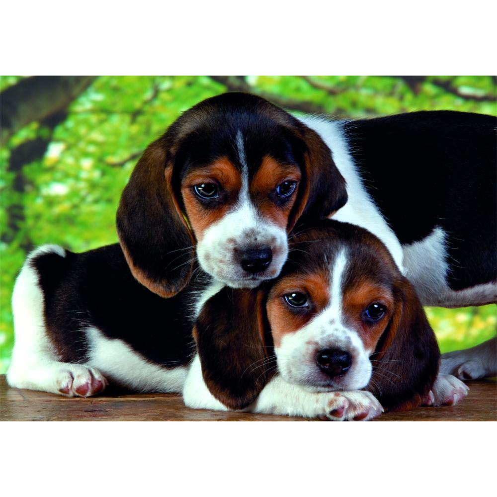Clementoni - HQC Close Together Puzzle And Poster - 500 Pcs