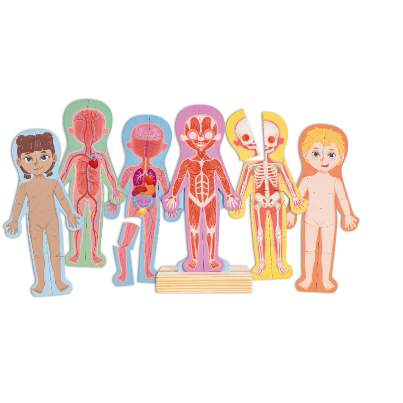 Hape - Human Body Parts Magnetic Learning Puzzle - 68pcs