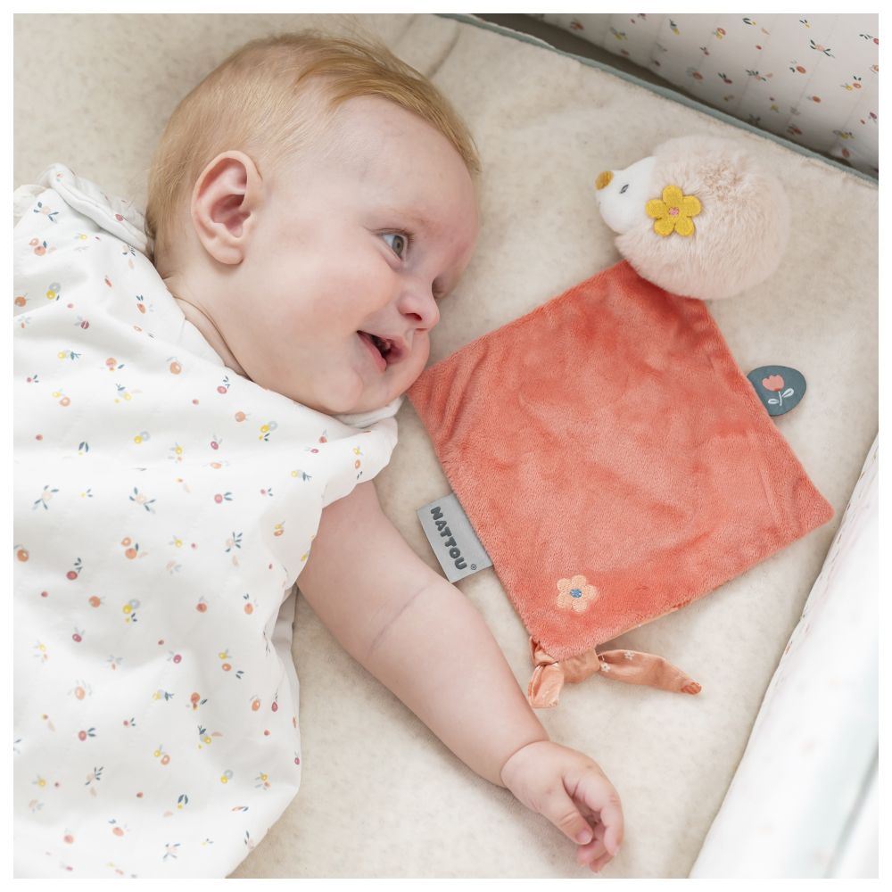 Nattou Doudou Mini Cuddle Comforter - Hedgehog Zoe
