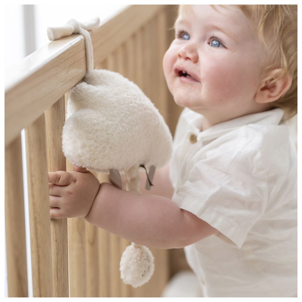 Nattou - Musical Cuddly Teddy - Cloud