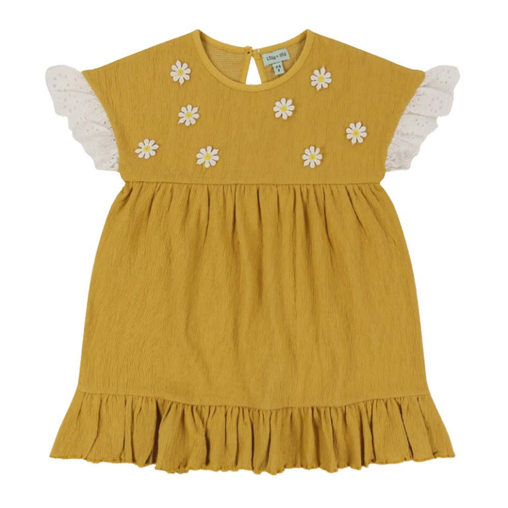 Lilly & Sid Baby Girl's Floral Applique Dress - Yellow