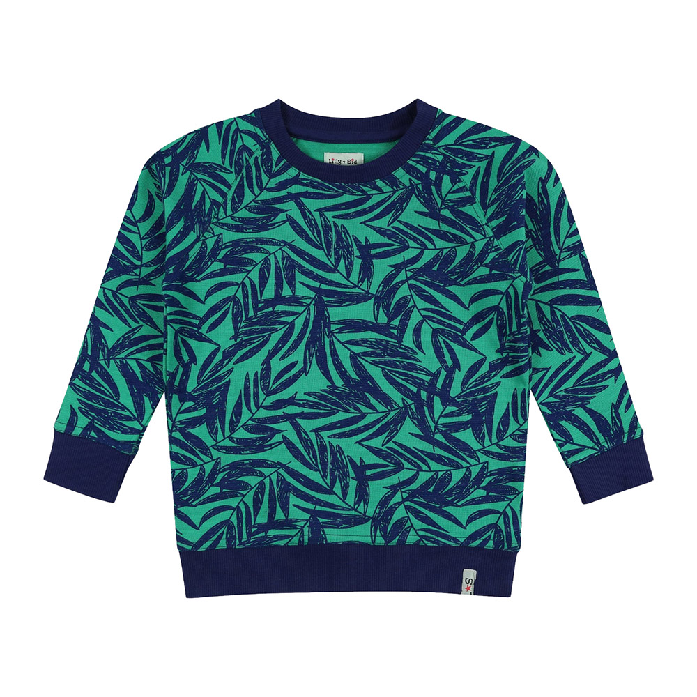 Lilly & Sid Boy's Palm Printed Sweatshirt - Green