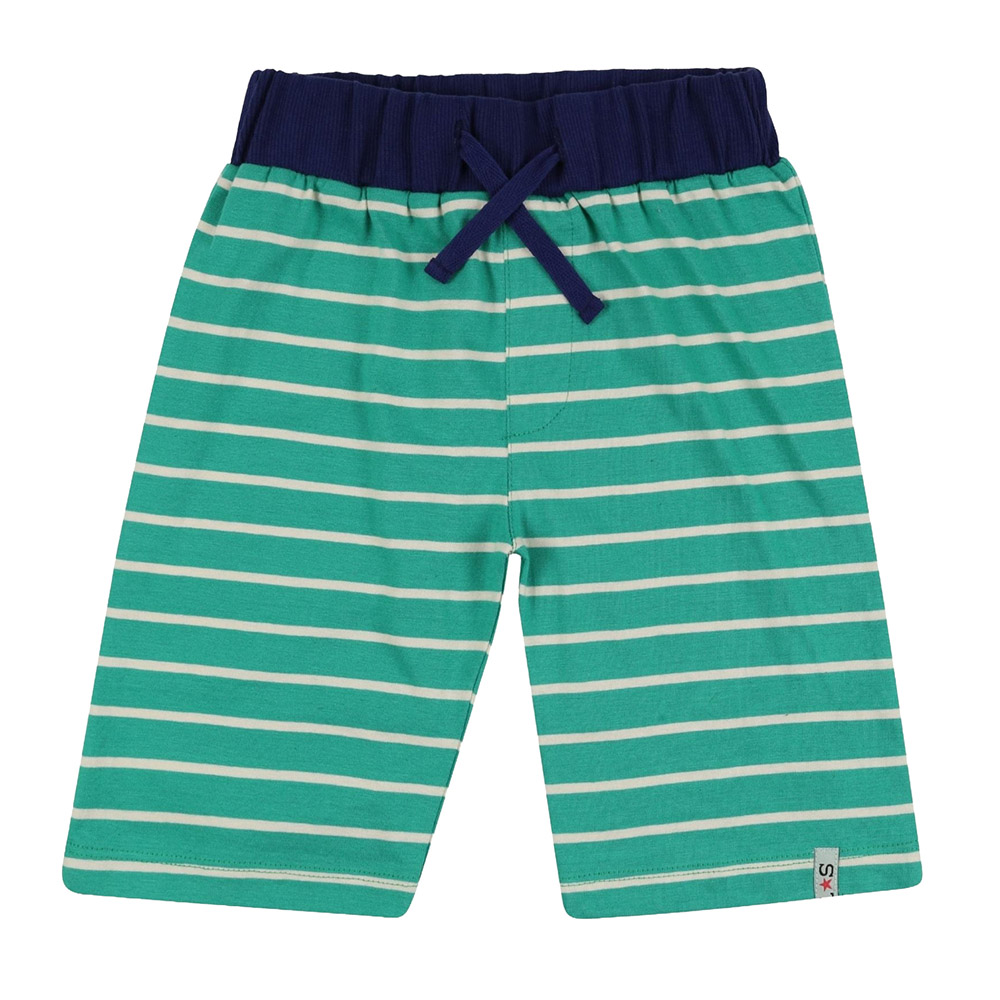Lilly & Sid Baby Boy's Bugs & Stripe Printed Shorts - 2 Pcs