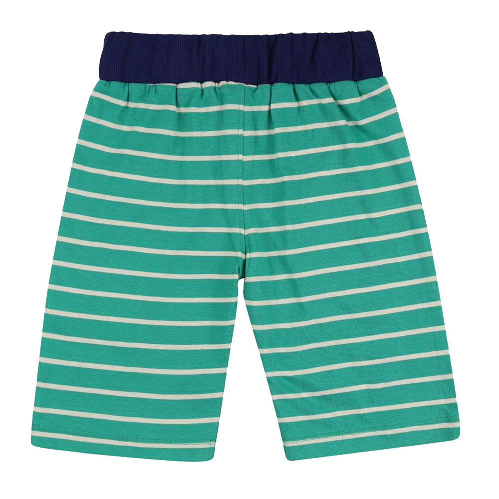 Lilly & Sid Baby Boy's Bugs & Stripe Printed Shorts - 2 Pcs