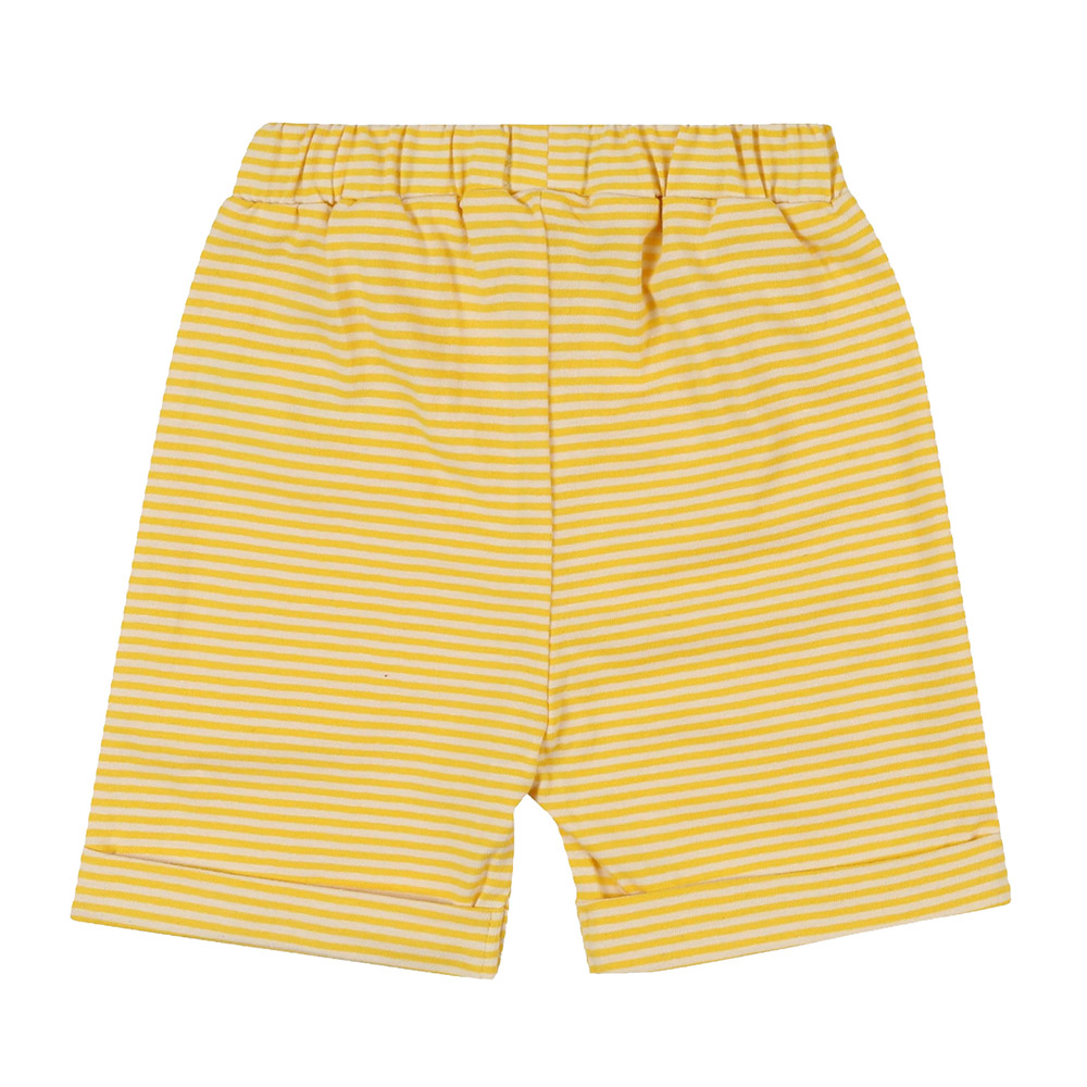 Lilly & Sid Baby Boy's Bugs Print T-Shirt & Shorts - 2 Pcs