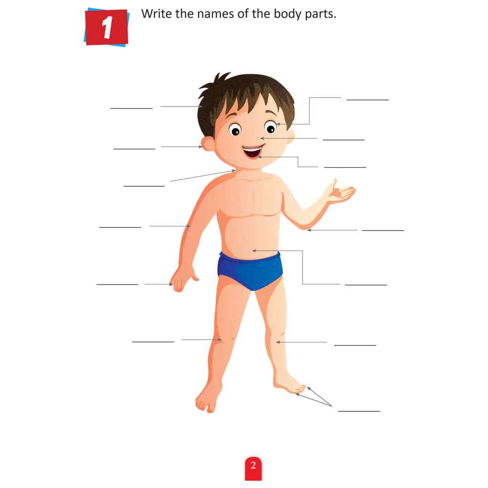 Activity Book - Human Body
