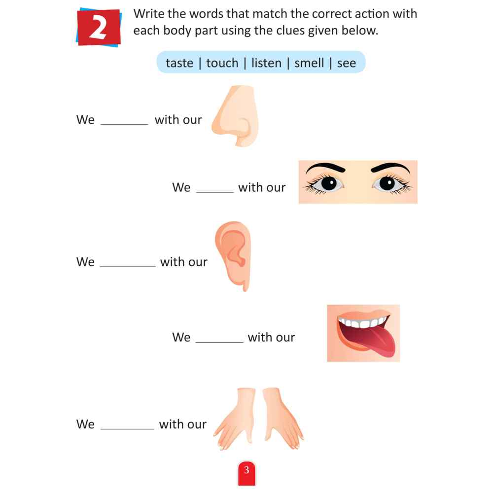 Activity Book - Human Body