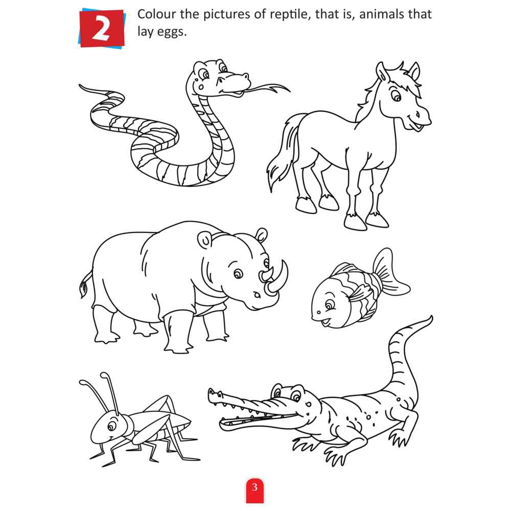 Activity Book - Science