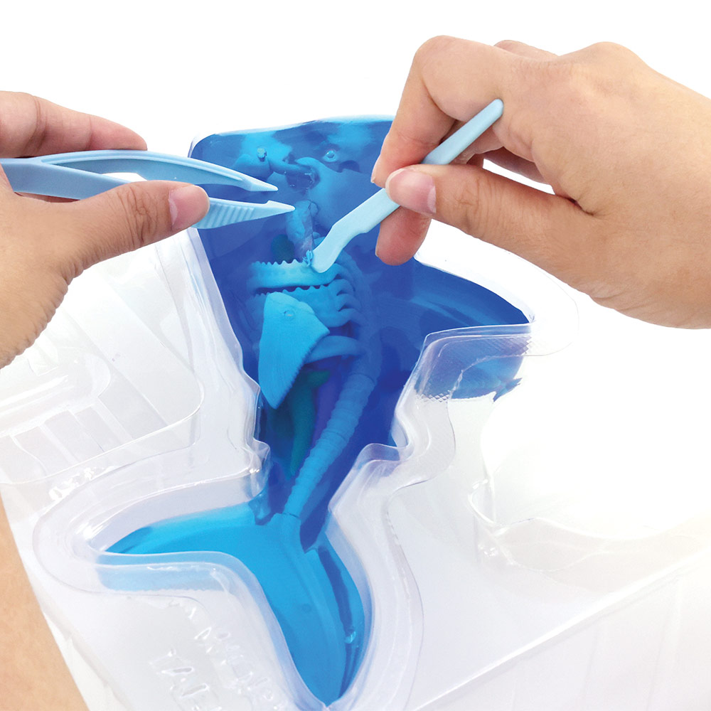 Slimy - Dissect-It Super Shark Science Kit