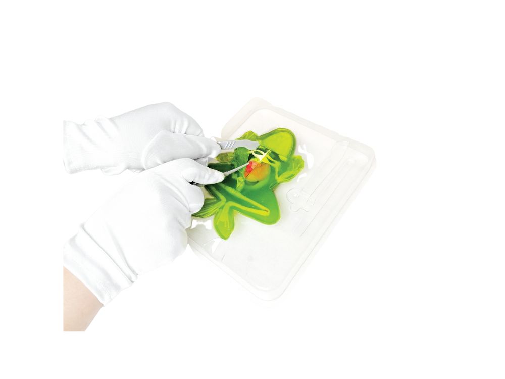 Slimy - Dissect-It Mega Lab - Frog & Piranha