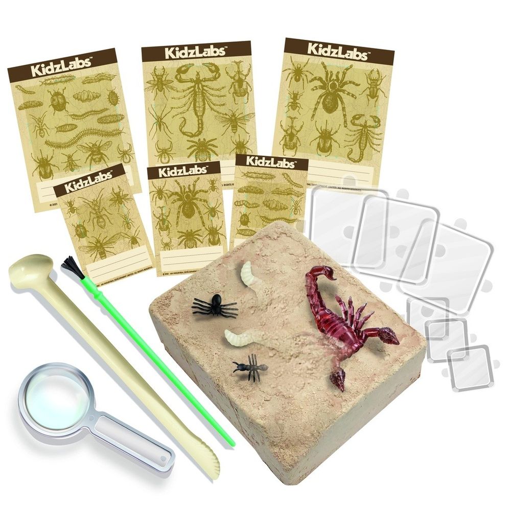 4M - KidzLabs Creepy Crawly Digging Kit - Multicolor