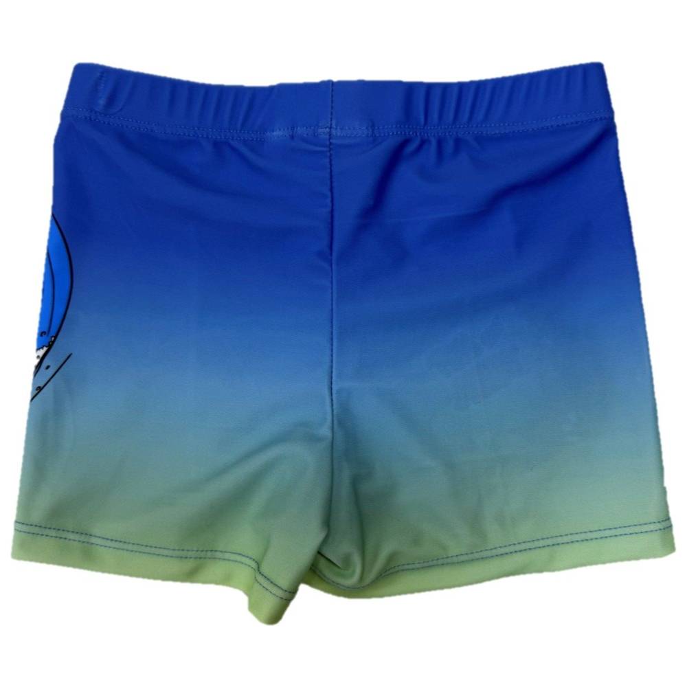 Tom & Jerry - Boy's UPF 50 Printed Swim Shorts - Blue