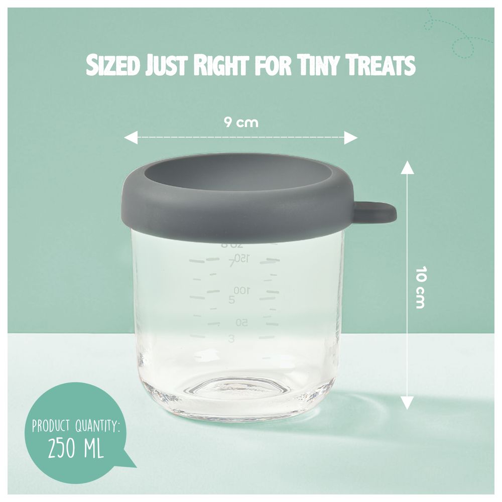 Beaba Conservative Glass Food Container - Mineral - 250 ml