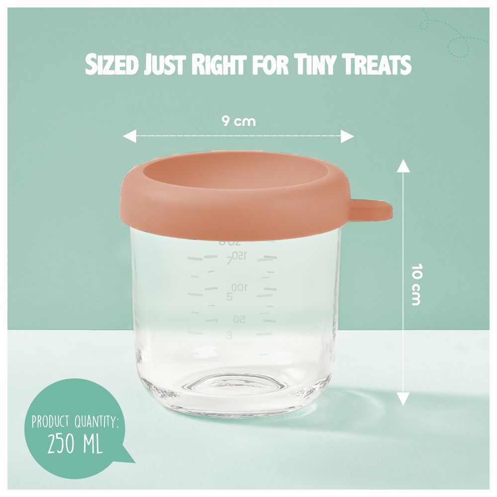 Beaba Conservative Glass Food Container - Terracotta - 250 ml