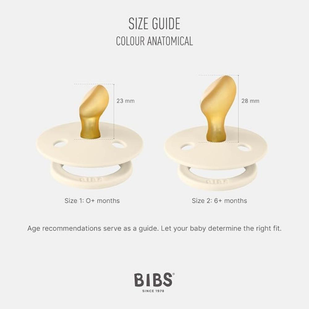 Bibs - Latex Anatomical Pacifiers 6M - Blush/Woodchuck - Pack of 2 - Size2